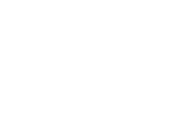 CDM BY CARPEDIEM